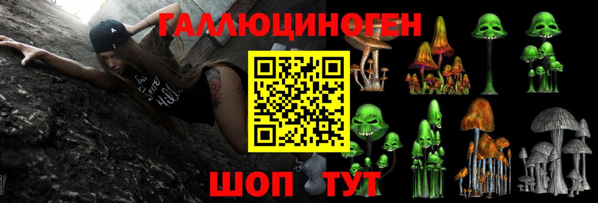 Псилоцибиновые грибы GOLDEN TEACHER  Вход с VPN  Юрга 